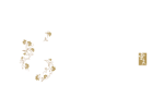 Canton Paradise