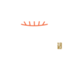 LeMa Dumpling